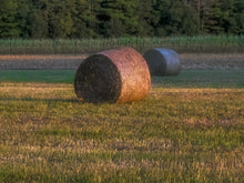 Load image into Gallery viewer, Hay Bales 2
