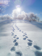 Load image into Gallery viewer, Footprints In The Snow
