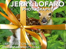 Load image into Gallery viewer, Jerry LoFaro Prints Gift Card
