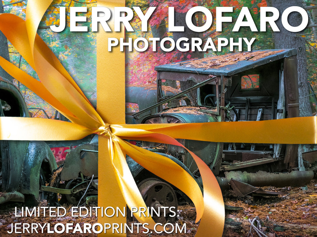 Jerry LoFaro Prints Gift Card