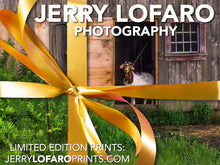 Load image into Gallery viewer, Jerry LoFaro Prints Gift Card
