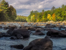 Load image into Gallery viewer, The River Rocks
