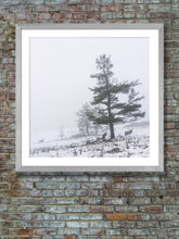 Load image into Gallery viewer, Elk Tree 2
